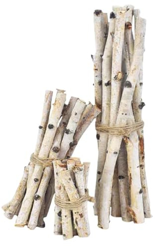 WANYI 5 Stück Holzstäbchen zum Basteln 10CM Natürliche Birkenstämme Holzstäbe mit Natürliche Baumrinde Birkenzweige Deko für DIY Handwerk Heimdekoration 2cm