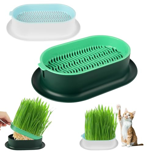 2 Stück Katzengrass Anzuchtschalen Grass Pflanzeschale, Katzen-Gras Schale für den Innen- und Außenanbau