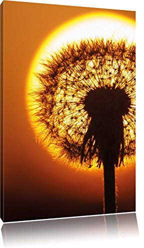 Pixxprint Pusteblume im Abendlicht, Größe: 100x70cm, Leinwandbild, fertig gespannt, Wandbild, Dekoration, Kunstdruck, kein Poster