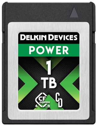 Delkin Power Memory Card - CFexpress Type B 4.0 for Digital Cameras | Ideal for Express Transfer of Images and Videos for Storage | Memory Card Storage (Large)