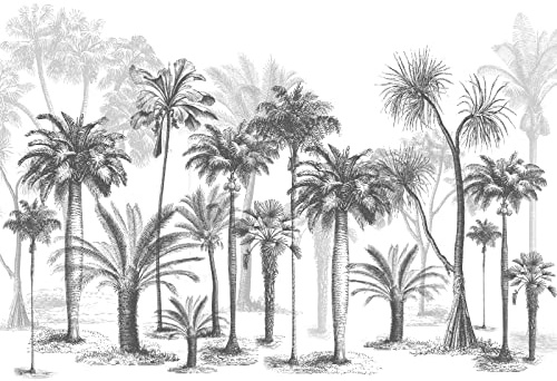 Wesmilewallpaper Papier Peint 3D Intissé Murales Forêt Noir Et Blanc Forêt Tropicale Humide Cocotier Nature Papier Peint Panoramique Tapisserie Peinture Poster Photo 250x175cm
