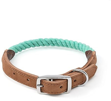 Mile High Life Premium Cotton Rope Dog Collar, Stainless Steel Pin Buckle Ring and Genuine Leather Belt Collar for Medium Large Dogs(Green, Medium Neck Small Neck 11-14 -20 lb)