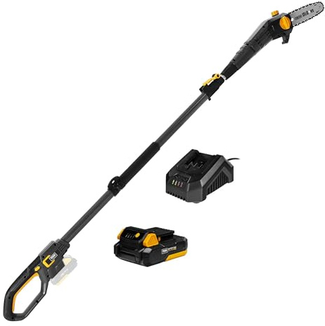 TEXAS PCX 2000 Akku Hochentaster (Astsäge mit 20 Volt, ausfahrbar auf 259 cm, abgewinkelter Schneidekopf, inkl. 2 Ah Akku und Ladegerät)