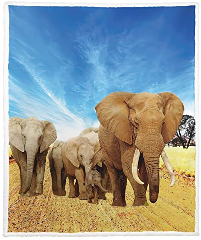 Violetpos Warm Sherpa - Cobijas Manta para sofá (150 x 200 cm, franela suave, forro polar)