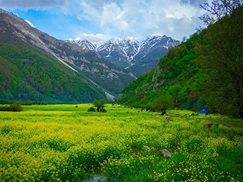 Puzzle 1000 Pezzi,Puzzle per Gioco Familiare-Prato, montagne, fiori, 70x50cm
