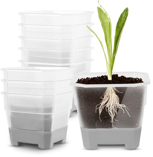 Recitem Kräutertopf Küche Fensterbank selbstbewässernd Set,Kräutertopf Plastik und Sämlingstöpfe sind wiederverwendbar,Für Küche, Balkon, Schlafzimmer,Balkon Schreibtisch (10 Grau)