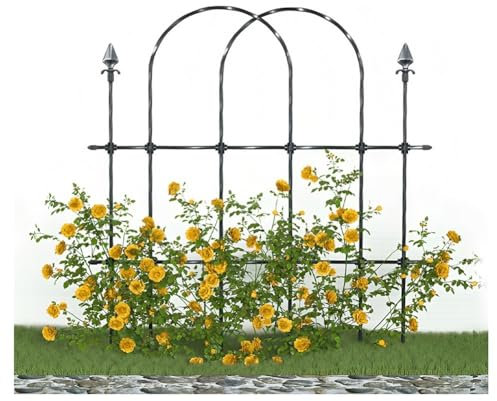 Traliccio per piante rampicanti da esterno, recinzione da giardino in metallo antiruggine per verdure, fiori e viti, barriera decorativa per paesaggi da 55 x 90 cm, per terrazze e aiuole