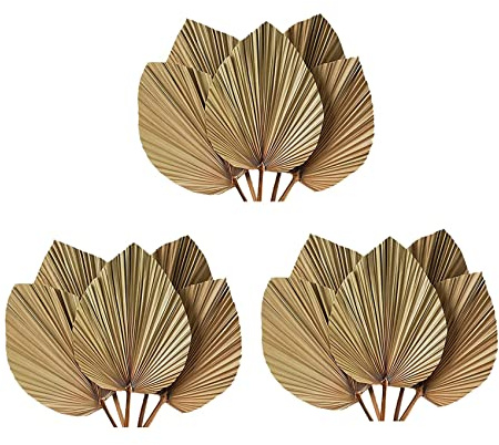 Uikdjgu Decoración de Habitación con Hojas de Palma Secas, 15 Piezas, 18 Pulgadas de Alto x 10 Pulgadas de, Decoración Grande de Hoja de Palma Natural para Un Hermoso Aspecto Bohemio