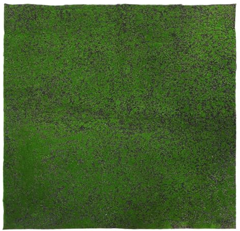 Hemobllo Tappeto Erboso Micropaesaggistico 1m X 1m in Muschio Artificiale Verde Resistente Tappetino di per Decorazioni Fai da Te Giardino delle Fate e Modellismo