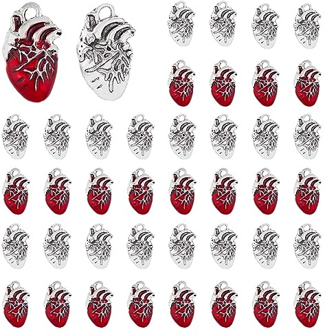 DICOSMETIC 60 Stück 2 Farben Rote Anatomische Herzanhänger Antiksilber Anatomische Organanhänger Tibetische Menschliche Anatomieanhänger Legierungsanhänger Für Die SchmuckherstellungBohrung: 2.5 mm
