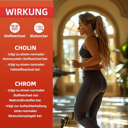Stoffwechsel Komplex Hochdosierter 10 in1mit Grüner Tee L-Carnitin, Garcinia Cambogia, wilder indischer Spargel Coleusbalsam Apfelessig Cholin Chrom, Vitamin B6 120 vegetarische Metabolismus-Kapseln