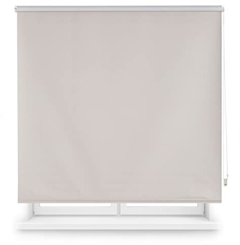 Blindecor Draco | Rollo verdunkelung - Silbergrau, 120 x 230 cm (BxH) | Stoffgröße 117 x 225 cm. Thermorollo für fenster