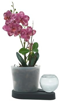 greevi Orchideenheld | Pflanztopf | Kunststoff, anthrazit | Selbstbewässernd, Inklusive Pflanzgranulat, Inklusive Orchideensubstrat, Made in Germany