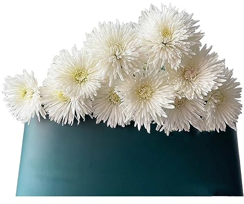 19 White Anna Chrysanthemum Fresh Cut Flowers Hydroponic Flower Arrangement Gifts for home decoration birthdays anniversaries healing sympathy