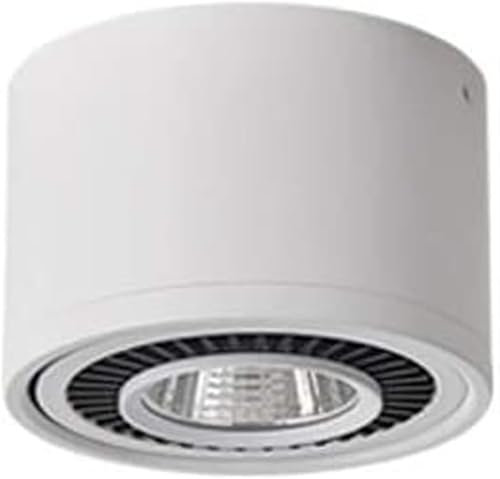 Lamp Faretto Montato a LED Faretto Singolo Lampada da soffitto orientabile in pannocchia Ospite Sala espositiva Lampada Corridoio Portico Parete di Fondo Piccola, Plafoniera a Sospensione Lamp