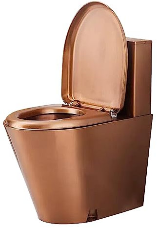 Toilette commerciale in acciaio inossidabile 304, WC monoblocco a risparmio idrico ad alta efficienza, potente WC a doppio scarico, con WC a chiusura automatica adatta per ospedali