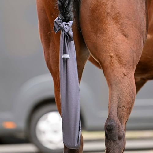 Busse