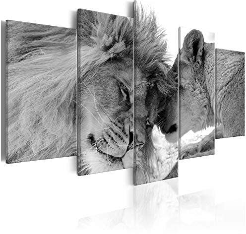 decomonkey Bilder Tiere 200x100 cm 5 Teilig Wandbild Groß Leinwandbild XXL Deko Wohnzimmer Schlafzimmer Büro Wanddeko Leinwand Pictures For Wall Poster Wall Painting Wandbilder Set Natur Abstrakte