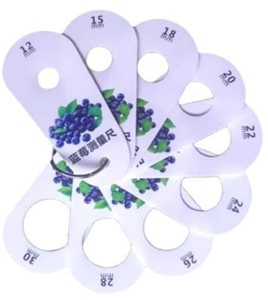 Dualoai Calibro per Frutta, Calibro Circolare per Frutta Multifunzione con 9 Fori, Righello per Strumenti di Misurazione Della Qualità Della Frutta Fresca, Mirtilli