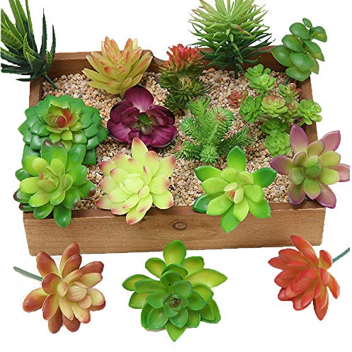 Kalolary 16 Stück Künstliche Sukkulenten Blumen Pflanzen, Mini Unpotted Decor Vorbauten Mixed Gefälschte Pflanzen Bulk Verschiedene Picks Geburtstag Wohnkultur Innenwand Garten Hotel
