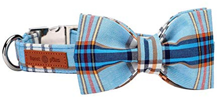 Lionet Paws Hundehalsband mit Fliege, Langlebiges Bequemes Baumwolle Halsband mit Metall-Klickverschluss für Hunde und Katzen, Hals 25-40cm