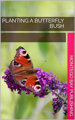 Planting A Butterfly Bush (Growing Flowers)