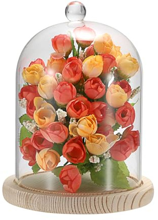 SUMTree Cloche en Verre avec Socle en Bois, Cloche de présentation, 12x15cm | Transparent, poignée en forme de globe, Décoration pour Fleurs, Cristal, Collection