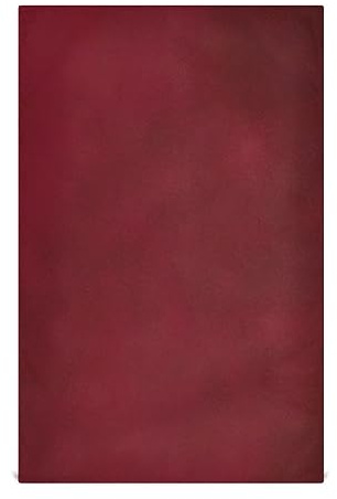 RPLIFE Set di asciugamani da cucina rosso bordeaux, 28 x 18 asciugamani da tè sfuso per cucina
