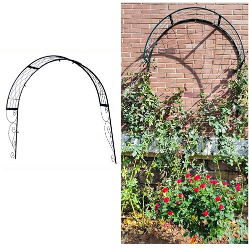 100 cm Breiter Halbrund Bogen Rosengestell Für Kletterpflanzen Zur Wandmontage, Robuster Rankbogen Pergola Blumenständer Für Den Außenbereich, Gartenbögen, Grün, Weiß(Green)