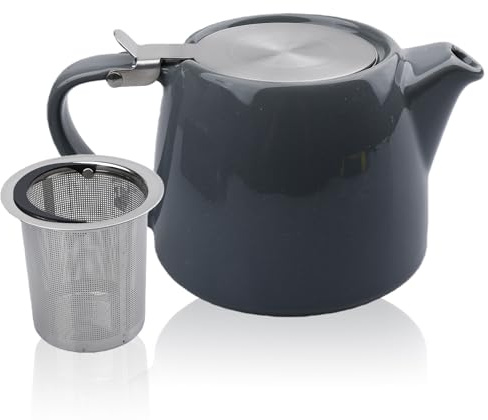 BAIFULAI Tetera de porcelana de cerámica, 600 ml, tetera japonesa con filtro de acero inoxidable, juego de té de porcelana, set de regalo para los amantes del té, gris oscuro