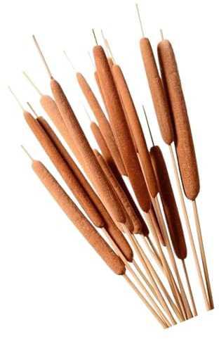 10 ramas de cola de gato artificiales de 50 a 60 cm de largo, hierba seca natural para decoración del hogar y arreglos florales para cubierta de césped seco