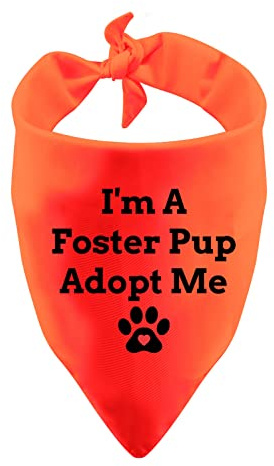 Lustiges Hundehalstuch, Anxious Dog Bandana I'm A Foster Pup Adopt Me Lätzchen Zubehör für Haustiere, Geburtstagsgeschenk, Hundehalstuch (I'm A Foster)