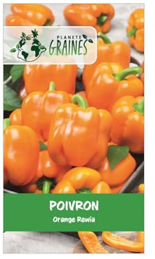 30 graines de poivron orange rewia -.pepper sweet -Poivron doux - Sweet Bell Pepper