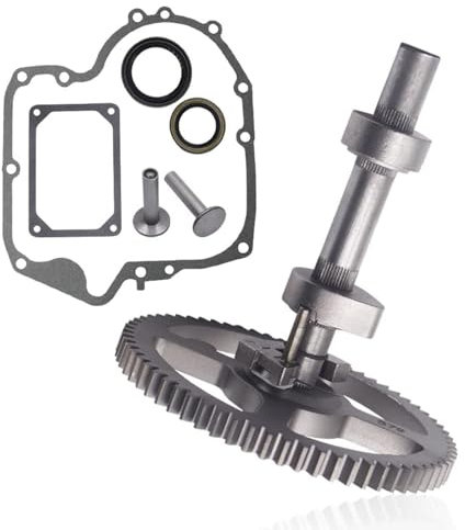 Kits de remplacement d'arbre à cames de tondeuse à gazon pour moteurs 84005207 793880 793880 697110 795387 avec joint d'huile et joints de carter de moteur
