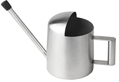 Milisten Arrosoir Portable 300 ML À Large Ouverture en Acier Inoxydable pour Plantes Dintérieur
