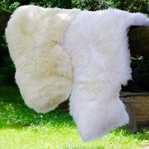 Hollert German Leather Fashion Lammfell naturweiß - 2. Wahl Schaffell Merino Fell Läufer Dekoration Sitzunterlage Größe 120-130