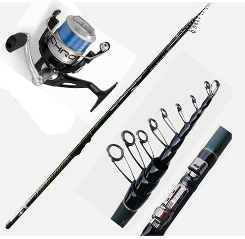 bolognese metri 6 in carbonio canna da pesca mare lago passata con mulinello