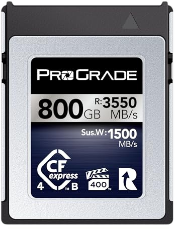 Carte Mémoire ProGrade CFexpress 4.0 Type B (800 Go) Iridium
