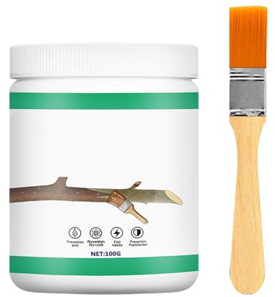 Baxnore Baum-Wundschnitt-Versiegelung, Heilpaste, Kalk-Gips-Fett für Bonsai und Obstbäume, schnell, effektiver Wundverband, einfach mit dem mitgelieferten Pinsel aufzutragen, kompa