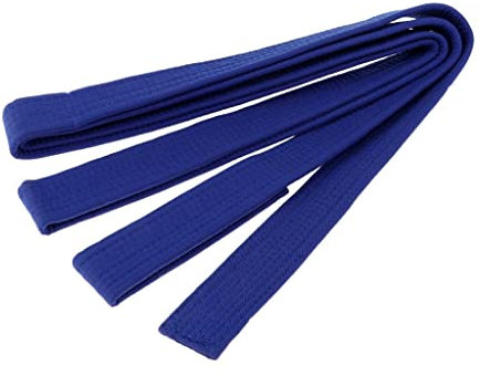 U/ D Taekwondo Gürtel Karate Kampfsport Aikido 1 Stück (blau)