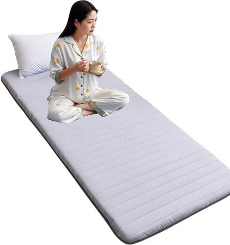 Floor Mattress Single with A Reusable Vacuum Storage Bag - Japanese Tatami Mat Cotton Futon Pad Roll Up Mattress Foldable Lounger Guest Bed Camping Couch Student Dormitory Bed (90x190CM,Grey)