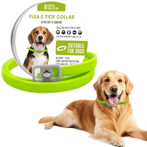 KOQAIIZ Collier Anti Puces et Anti Tiques pour Chien, Réglable, 8 Mois de Protection, Vert, Taille 62cm