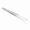 Lacor Pinzetta da Cucina di Precisione per Placcatura a Strati, Acciaio Inox 18 e 10, Manico Graffiato Fine, Qualità, Lunghezza 15.5 cm, 62865