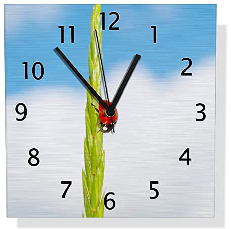 Wallario Design Wanduhr Marienkäfer am Korn aus Aluverbund, Alu-Uhr Größe 30 x 30 cm, Schwarze Zeiger mit Metalloptik