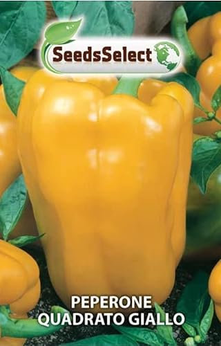 SEMI SEMENTI DI PEPERONE QUADRATO GIALLO IN BUSTINA