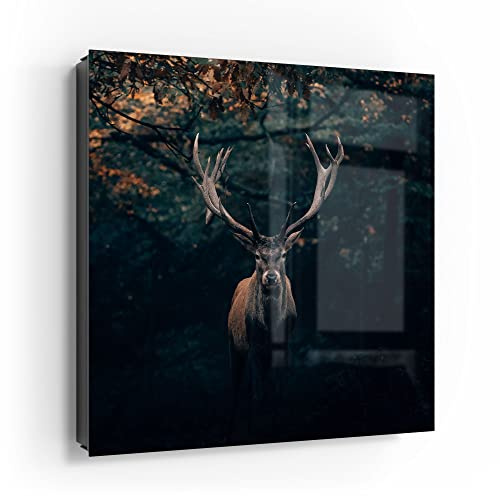 DEQORI Schlüsselkasten schwarz | 30x30 cm | Motiv Elch im Teutoburger Wald | Glas & Metall Schlüssel-Box | Schlüsselschrank mit 50 Haken + 2 Magnete | Moderne Box magnetisch & beschreibbar