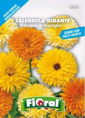 Sementi da fiore di qualità in bustina per uso amatoriale (CALENDULA GIGANTE DOPPIA IN MISCUGLIO)