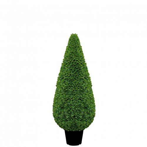 Fink Boxwood Cone H 80 - (187396)