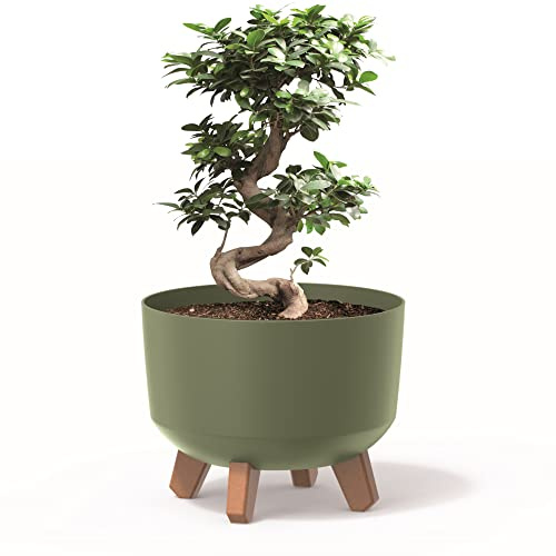 botle Blumentopf mit Füßen Pflanzkübel D 29 cm Kunststoff Grün Töpfe mit Einsatz matt Übertöpfe Geldbaum Kakteen Gummibaum Glücksfeder