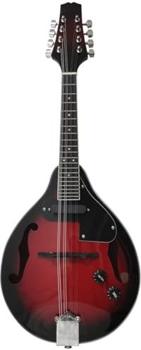 Professional Adult Mandolin Instrument Professional Musical Instrument Mandolin For Beginners Eight-string Electric Mandolin Performance Instrument(B)